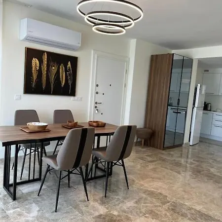 4+1 With Private Pool And Garage Villa Milas